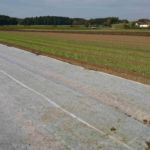 Um das Wachstum zu beschleunigen, werden die Pflanzen mit einem Vlies gedeckt.