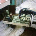 Zur Lagerung werden die Karotten in ein Naturlager unter der Erdoberfläche gebracht.