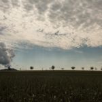 Bringen die Wolken der nächsten Tag wohl das ersehnte Nass?